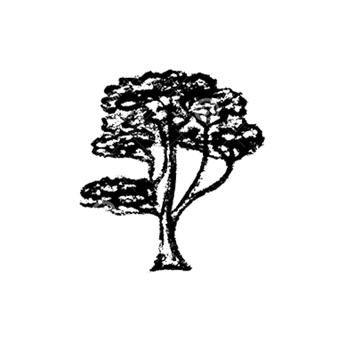 Logo d'un arbre